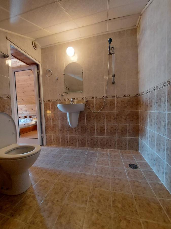 Vasi Apartments Dobrinishte Esterno foto